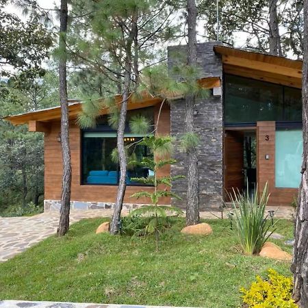Cabanas Canada Del Ciervo 마자미틀라 외부 사진